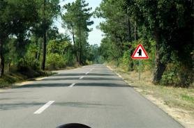 Junction warning triangle on a tree lined road