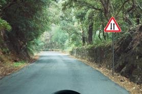 Road narrows warning sign on a tree lined road